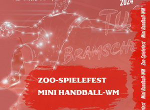 Handball-Spielefeste