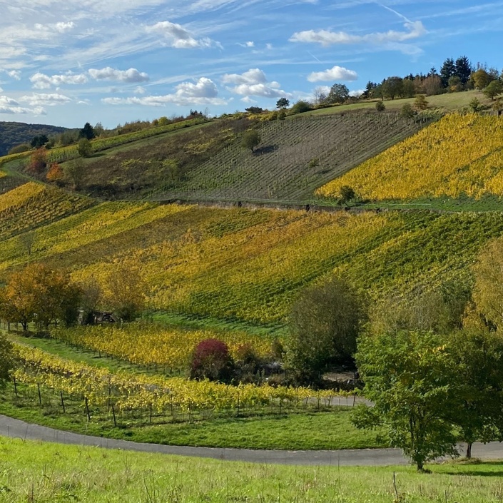 Weinwald Begegnungsort