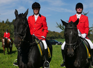Reitplatzausrüstung für Dressur- und Springreiten