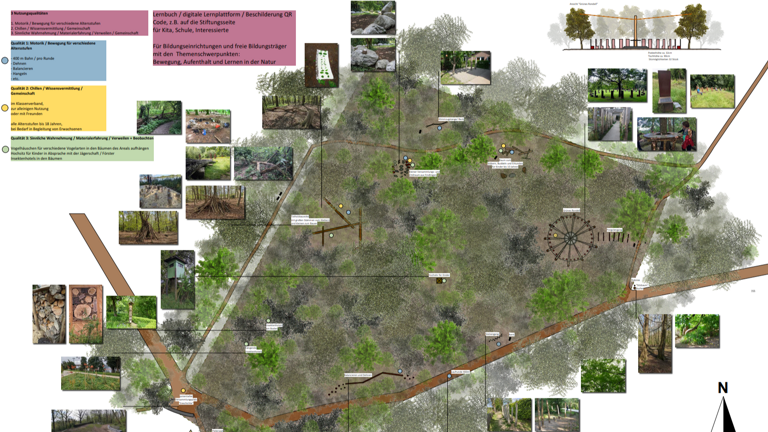 Träumen lohnt sich - Waldspielplatz