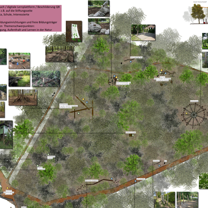 Träumen lohnt sich - Waldspielplatz