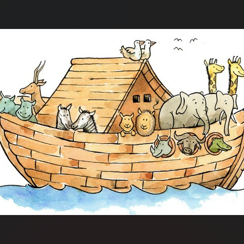 Bewegung in der Arche Noah