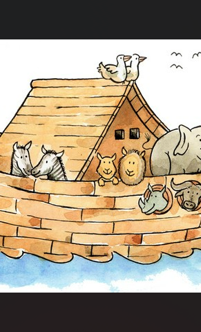 Bewegung in der Arche Noah