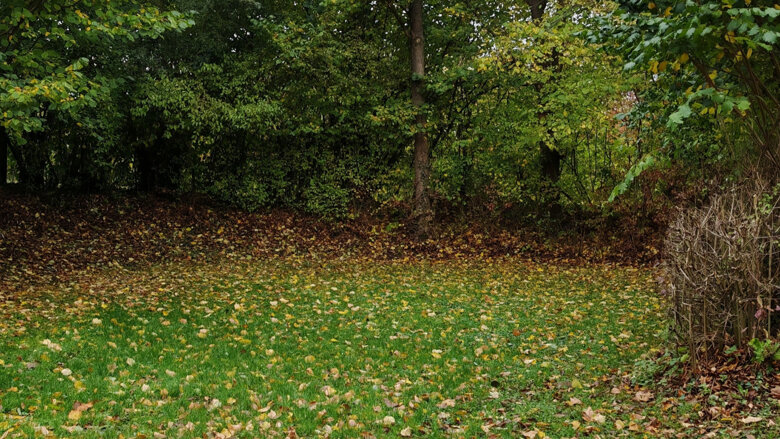 Große Ansicht vom Video