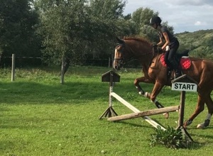 Ein Trainingsparcours für unseren Reitverein