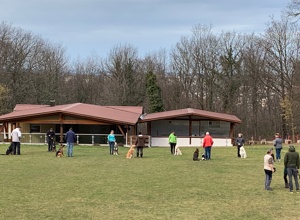 Renovierung Vereinsgelände Hundesportverein Huchenfeld e.V.