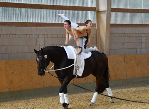 Rententraum & Pferdewunsch: unterstütze unseren Neuanfang!