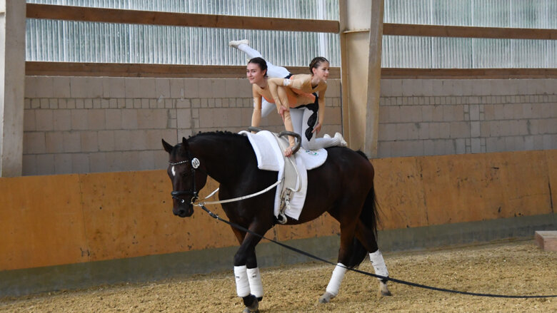 Große Ansicht vom Video