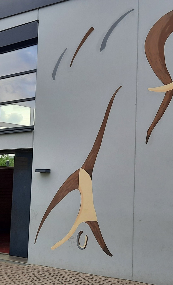 Erneuerung der Lüftungsanlage der Vereinsturnhalle des TV Braubach