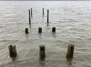 Dringende Stegsanierung für unsere Wassersportabteilung am Ammersee