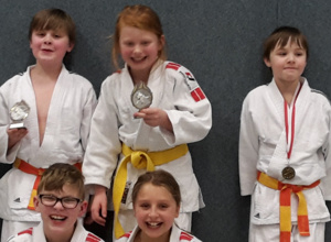 Judo-Sport-Matten