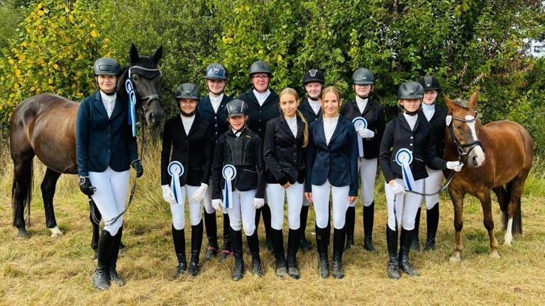 Ein Pferdeanhänger für die Schulpferde-Abteilung