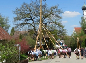 Hüpfburg für Kitzighofen
