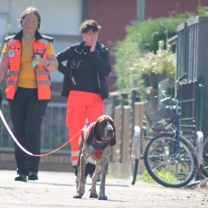 Einsatzkleidung für die BRH Rettungshundestaffel Oberland e.V.