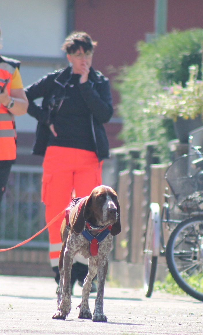 Einsatzkleidung für die BRH Rettungshundestaffel Oberland e.V.