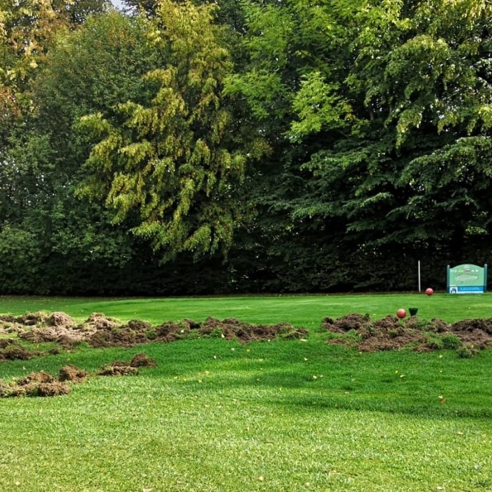 Zaun zur Verhütung von Wildschweinschäden GC Sauerland
