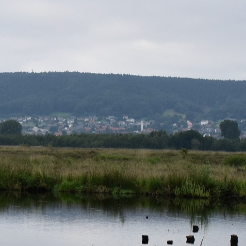 Mobiler Kletterturm