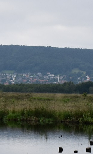 Mobiler Kletterturm