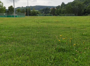 Der FSV Mähroboter