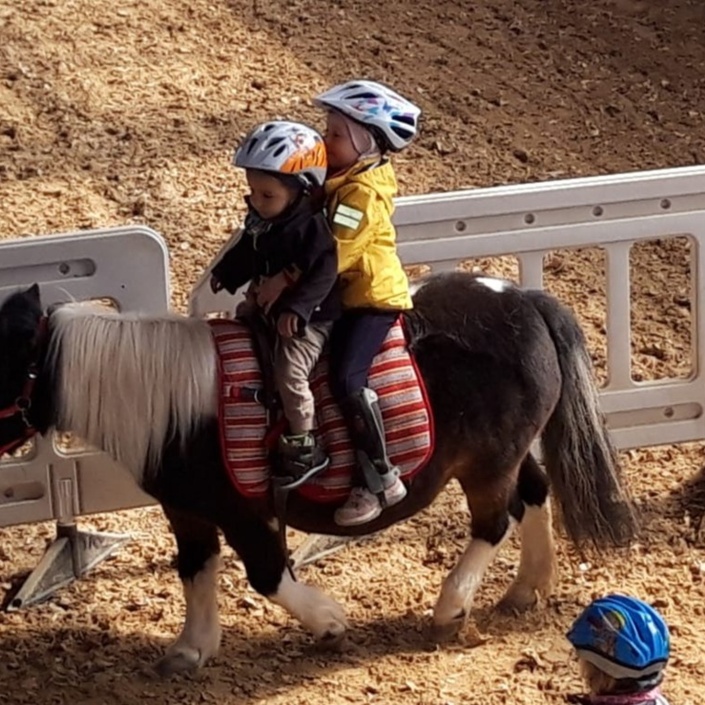Inklusives Ponyreiten soll weiter bestehen