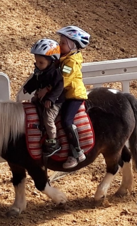 Inklusives Ponyreiten soll weiter bestehen