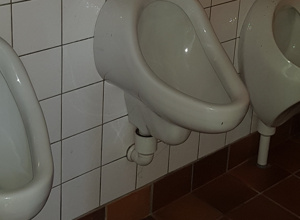 Musikverein Urbach - Renovierung Toiletten im Vereinsheim