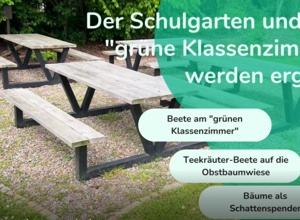 Wir verschönern unsere Schule