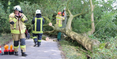 Anschaffung eines Holzspannungssimulators