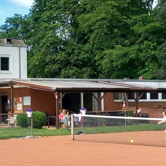 Dacherneuerung Vereins-Terrasse