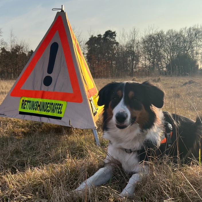 (Schutz-)Ausrüstung für Mensch und Hund
