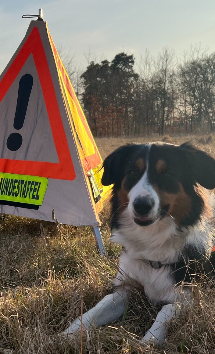 (Schutz-)Ausrüstung für Mensch und Hund