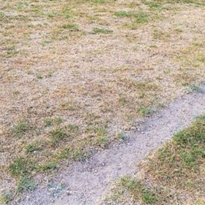 RAUS AUS DEM DRECK 2.0 - Hauptspielfeld
