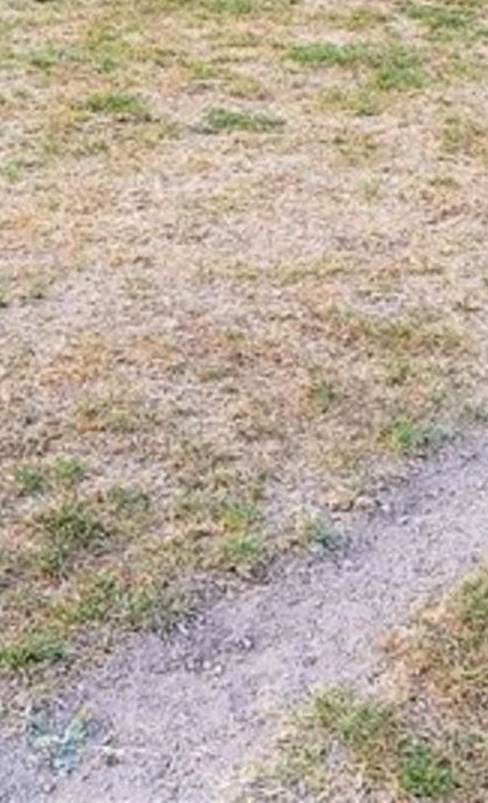 RAUS AUS DEM DRECK 2.0 - Hauptspielfeld