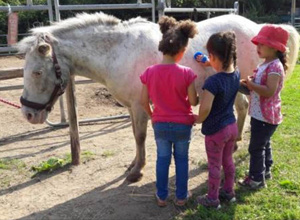 Video - Tierisch stark! Kinder und Tiere – unser Erfolgskonzept