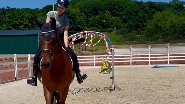 Abziehgerät für den Reitplatz des RZV Alftal