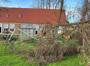 Neue Tore für die Jugendabteilung des SV Arle