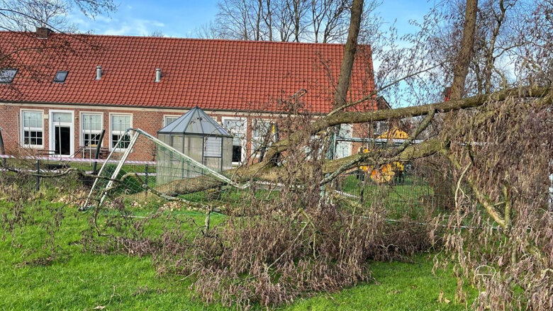 Große Ansicht vom Video