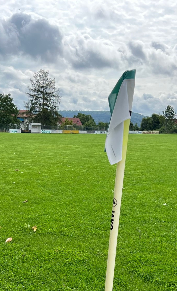 Anschaffung von Mährobotern für das ASV Sportgelände
