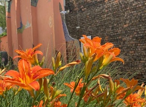 Fortbestand des JuKz Lahnstein