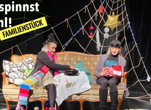 "Du spinnst wohl" - Eine Weihnachtsgeschichte für die ganze Familie