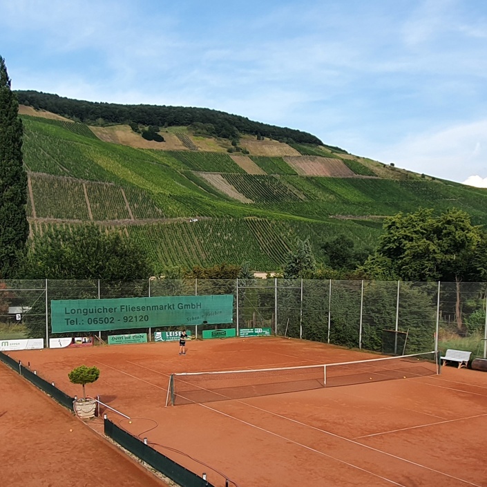 Neubau von zwei Tennis-Indoor-Sandplätzen