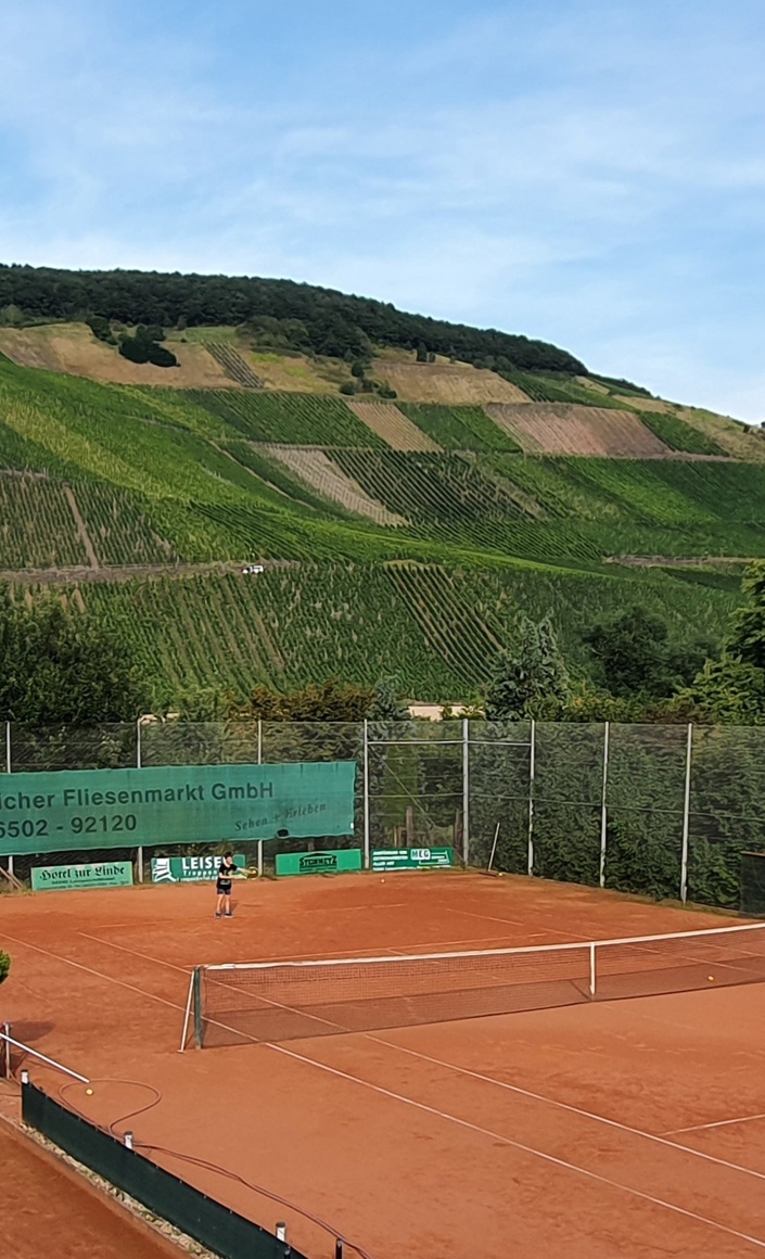 Neubau von zwei Tennis-Indoor-Sandplätzen