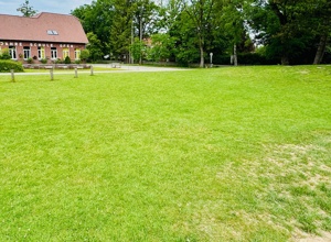 Klettergerüst der Grundschule Ofen