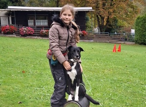 Doppelstabmattenzaun Hundefreunde