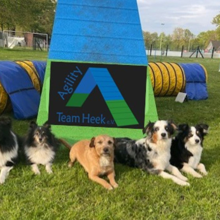 Flutlichtanlage für das Agility Team Heek