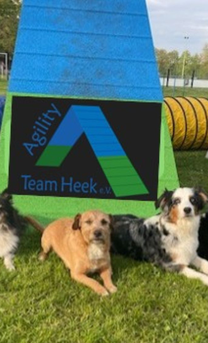 Flutlichtanlage für das Agility Team Heek