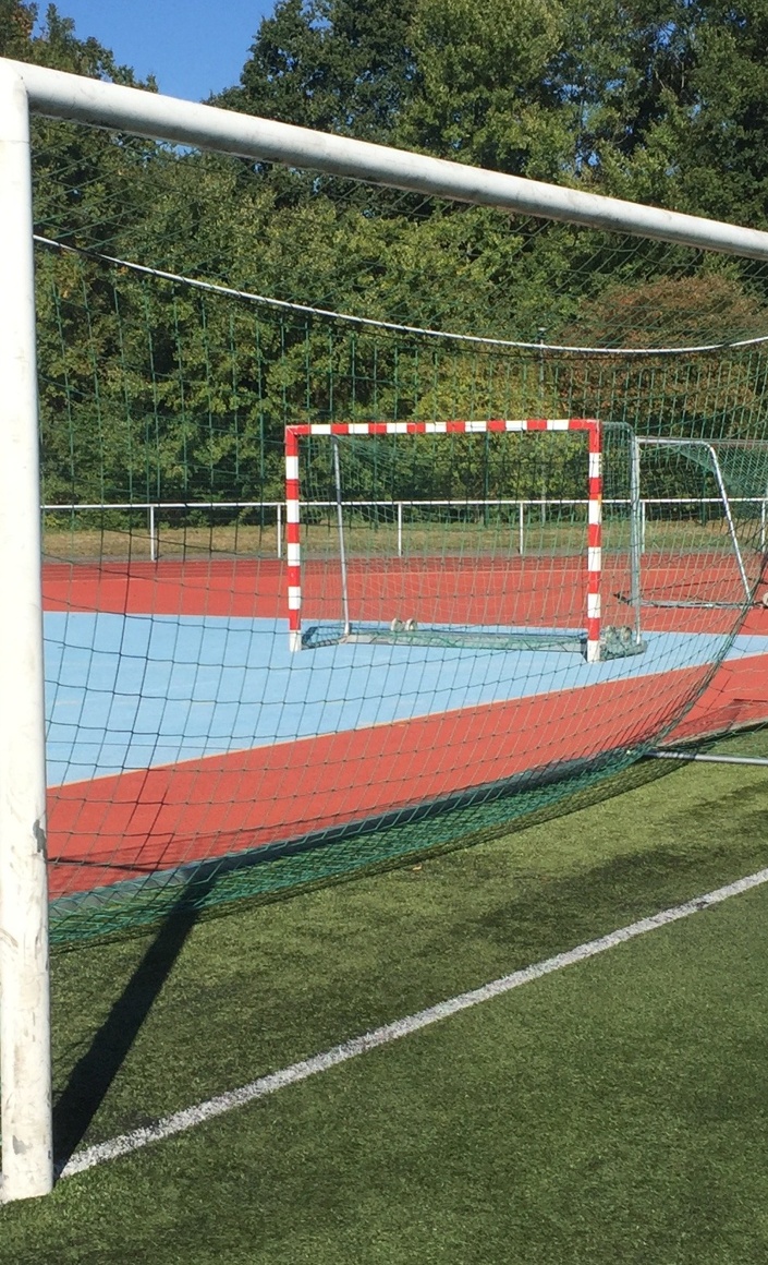 Unser Sportplatz braucht neue TOOOOORE!