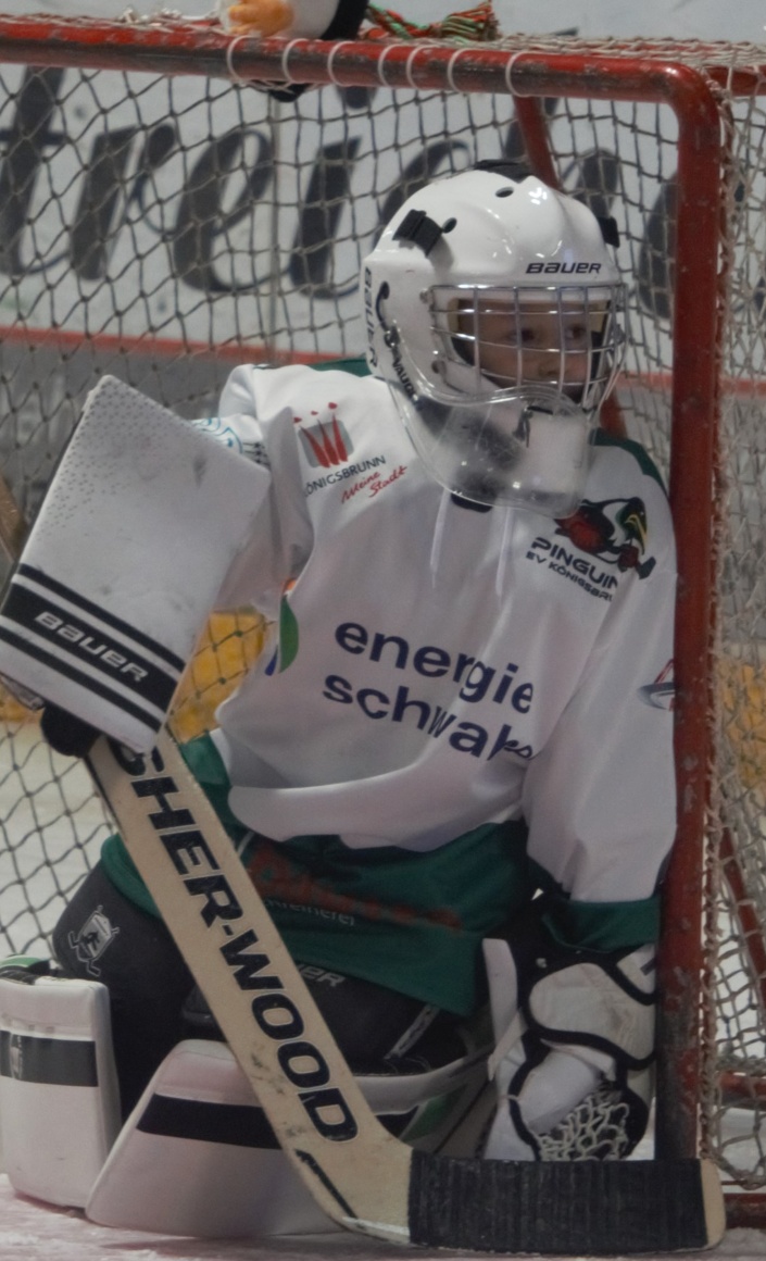 Kleinfeldtore für die U9 Mannschaft und Laufschule des EV Königsbrunn
