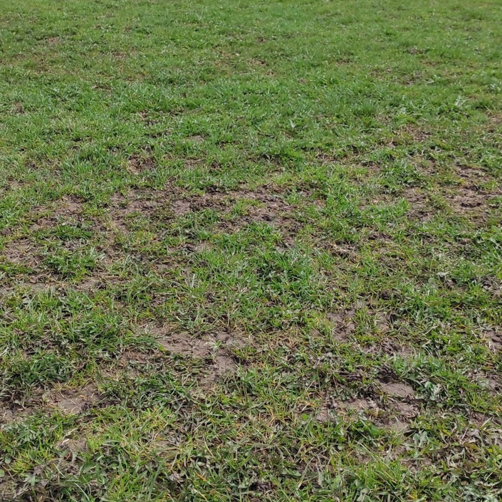 Sanierung der Sportplätze