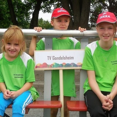 Leichtathletik-Hochsprunganlage im Schlossstadion